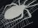 画像6: 80'S SPIDER WEB PATTREN CREW-NECK SWEAT（蜘蛛の巣柄 クルーネック仕様スウェット）MADE IN USA（L） (6)