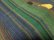 画像4: 90'S BILLABONG JACQUARD BORDER PATTREN T-SHIRTS WITH POCKET（ビラボン ジャガード織り ＋ ボーダー柄ポケット付きTシャツ）MADE IN USA（XL）