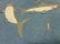 画像7: 90'S MICHIGAN RAG SHARK REPEATING PATTERNE HOODED COTTON × POLYESTER JACKET （ミシガンラグ 鮫総柄仕様 フード付きコットン × ポリエステル ジャケット）MADE IN USA（L）