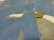 画像6: 90'S MICHIGAN RAG SHARK REPEATING PATTERNE HOODED COTTON × POLYESTER JACKET （ミシガンラグ 鮫総柄仕様 フード付きコットン × ポリエステル ジャケット）MADE IN USA（L）