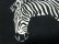 画像5: 80'S Ft. WAYNE ZOO ZEBRA CREW-NECK SWEAT（フォートウェイン 動物園 シマウマ クルーネック仕様 スウェット）MADE IN USA（XL）