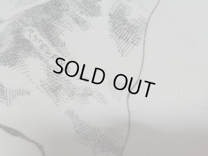 画像7: 90'S THINK GLOBALLY T-SHIRTS（シンク グローバリー Tシャツ）MADE IN USA（L）