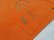 画像10: 90'S Karl Kani ORANGE DENIM BAGGY SHORTS（カールカナイ オレンジ デニム バギー ショーツ）MADE IN USA（実寸W36 × L15）