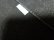 画像13: 90'S Levis silverTab BLACK DENIM SHORTS（リーバイス シルバータブ 黒デニム ショーツ）USA COMPONENTS（実寸W31 × L14）