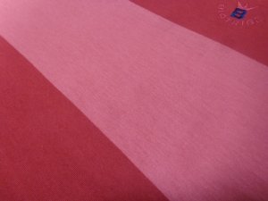 画像5: 90'S BIOTRIBE WIDE BORDER PATTERN T-SHIRTS（バイオトライブ 太ボーダー柄 Tシャツ）MADE IN USA（L）