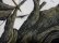 画像8: 90'S WHITEWATER OUTDOORS TREE CAMO PATTERN COTTON × POLYESTER JACKET WITH HOODED（ホワイトウォーター アウトドア ツリー迷彩柄 フード付き コットン × ポリエステル混紡 ジャケット）（XL）