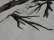 画像6: 90'S WHITEWATER OUTDOORS TREE CAMO PATTERN COTTON × POLYESTER JACKET WITH HOODED（ホワイトウォーター アウトドア ツリー迷彩柄 フード付き コットン × ポリエステル混紡 ジャケット）（XL）