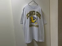 90'S UCSC BANANA SLUGS T-SHIRTS（カリフォルニア大学サンタクルーズ校 バナナスラッグ Tシャツ）MADE IN USA（L）