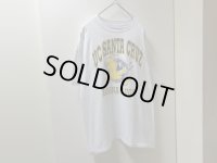90'S UCSC BANANA SLUGS T-SHIRTS（カリフォルニア大学サンタクルーズ校 バナナスラッグ Tシャツ）MADE IN USA（L）