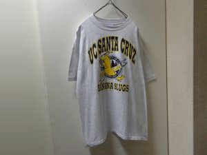 画像1: 90'S UCSC BANANA SLUGS T-SHIRTS（カリフォルニア大学サンタクルーズ校 バナナスラッグ Tシャツ）MADE IN USA（L）