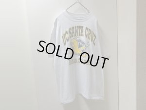 画像1: 90'S UCSC BANANA SLUGS T-SHIRTS（カリフォルニア大学サンタクルーズ校 バナナスラッグ Tシャツ）MADE IN USA（L）