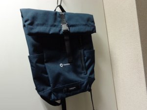 画像1: NEW TIMBUK2 TUCK PACK（新品 ティンバック2 タックパック）