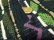 画像8: 90'S GENERRA REPEATING PATTERNE MIDDLE-GAUGE COTTON KNIT CARDIGAN（ジェネラ 総柄仕様 ヘヴィー ウール ニット カーディガン）ポケット付き（XL）