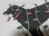 画像6: 92'S The Black Dog L/S T-SHIRTS（1992年製 ザ ブラックドッグ 長袖Tシャツ）MADE IN USA（XL）
