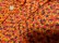 画像4: 70'S PROFILE FLOWER PATTERN L/S NYLON SHIRTS（プロファイル 花総柄仕様 長袖 ナイロン シャツ）(L)　