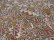 画像5: 90'S OLD GRAMICCI REPEATING PATTERN S/S COTTON SHIRTS（オールド グラミチ 総柄仕様 半袖 コットン シャツ）MADE IN USA（L）