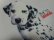 画像6: 90'S DISNEY 101 DALMATIANS T-SHIRTS（ディズニー 101匹わんちゃん Tシャツ）オフィシャル品（XL位）　