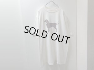 画像1: 00'S The Black Dog T-SHIRTS（2000年製 ザ ブラックドッグ Tシャツ）MADE IN USA（XL）　