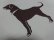 画像5: 00'S The Black Dog T-SHIRTS（2000年製 ザ ブラックドッグ Tシャツ）MADE IN USA（XL）　