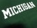 画像5: 90'S MICHIGAN UNIVERSITY T-SHIRTS（ミシガン大学 Tシャツ）MADE IN USA（L）　