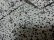 画像4: BOTTEGA VENETA REPEATING PATTERNE L/S COTTON SHIRTS（ボッテガ ヴェネタ 総柄仕様 長袖 コットン シャツ）MADE IN ITALY（17 1/2）
