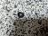 画像6: BOTTEGA VENETA REPEATING PATTERNE L/S COTTON SHIRTS（ボッテガ ヴェネタ 総柄仕様 長袖 コットン シャツ）MADE IN ITALY（17 1/2）