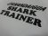 画像5: 80'S CANANDAIGUA SHARK TRAINER GIMMICK T-SHIRTS WITH POCKET（カナンデイグア シャーク トレイナー ギミック Tシャツ）MADE IN USA（XL）