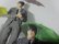 画像6: 90'S THE BEATLES T-SHIRTS（ザ ビートルズ Tシャツ）USA COMPONENTS（XL）