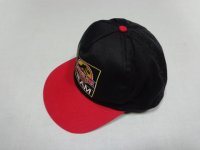 93'S JURASSIC PARK 6 PANEL COTTON SNAP-BACK（1993年製 映画 ジュラシックパーク ロゴ刺繍入り 6パネル仕様 コットン キスナップバック）　