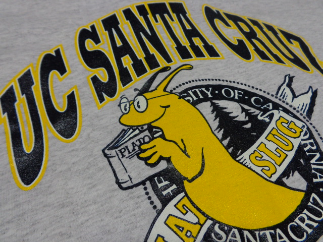 90'S UCSC BANANA SLUGS T-SHIRTS（カリフォルニア大学サンタクルーズ校 バナナスラッグ Tシャツ）MADE IN  USA（L） - ANAME